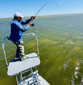 Corpus Christi Report Photo 2