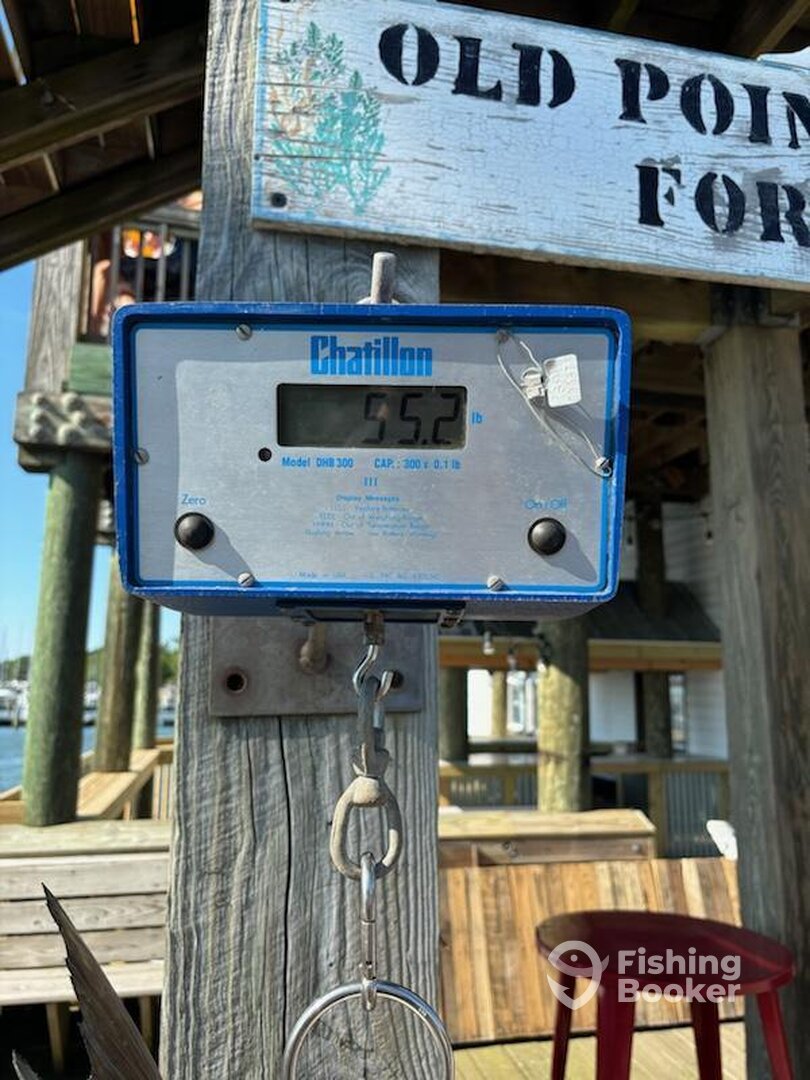 Norfolk Report Photo 0