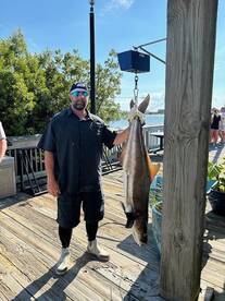 Norfolk Report Photo 2