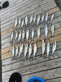 Atlantic Beach Report Photo 2