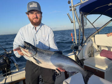 Kings Kings Kings!!!