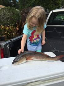 Jacksonville Report Photo 1