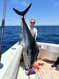 San Diego Report Photo 1