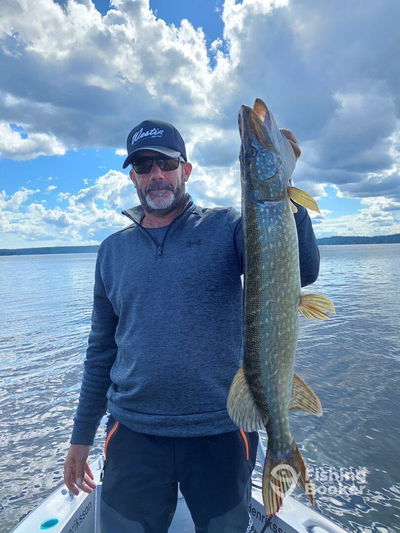 Enhörna Report Photo 0