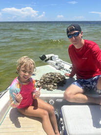 Scallops are here and the season is open