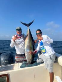 Come with us and live the new experience