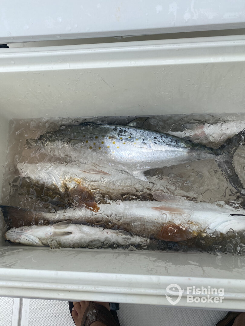 Tampa Report Photo 0