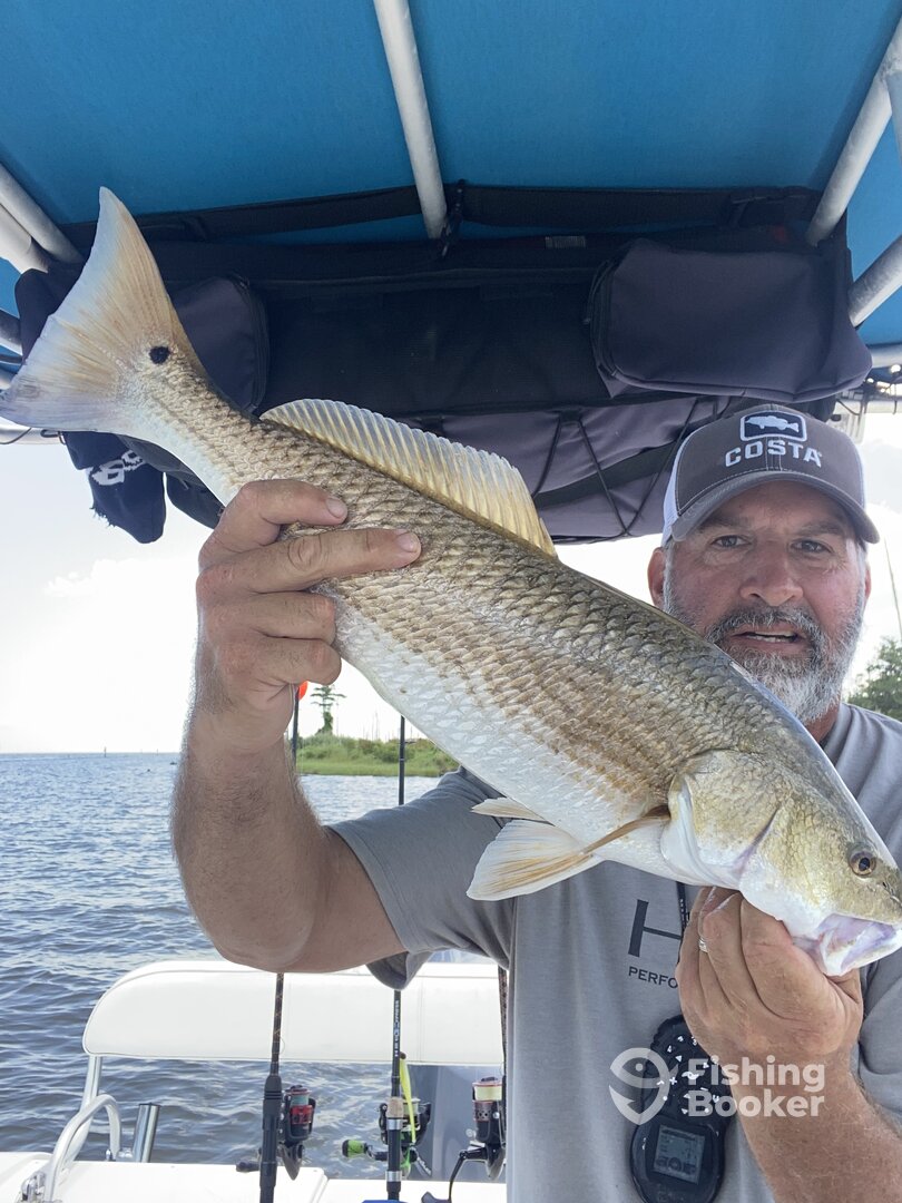 Weeks Bay Report Photo 0