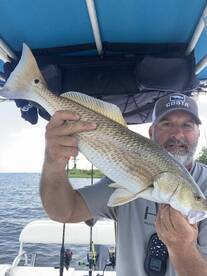 Recent Mobile Bay trips