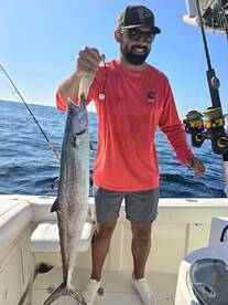 Snapper bite on, Mahi and Kings running!