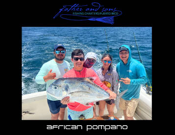 Fajardo Report Photo 2