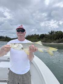 Sarasota Report Photo 2