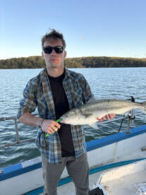 The fish are bitting