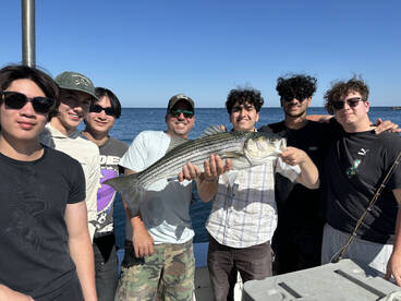 Gloucester Report Photo 2