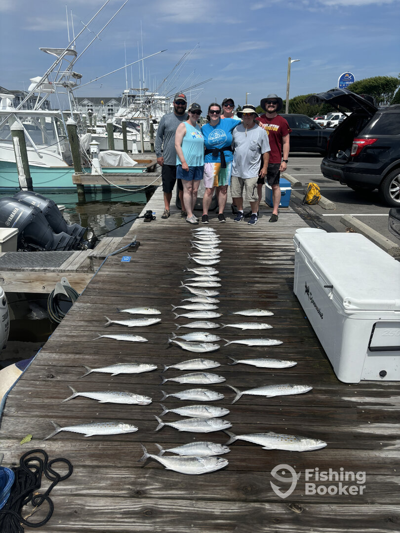 Stuart Report Photo 0