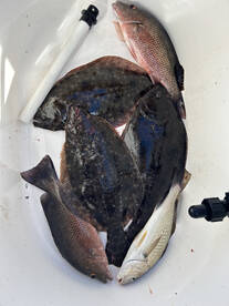 Jacksonville Report Photo 1