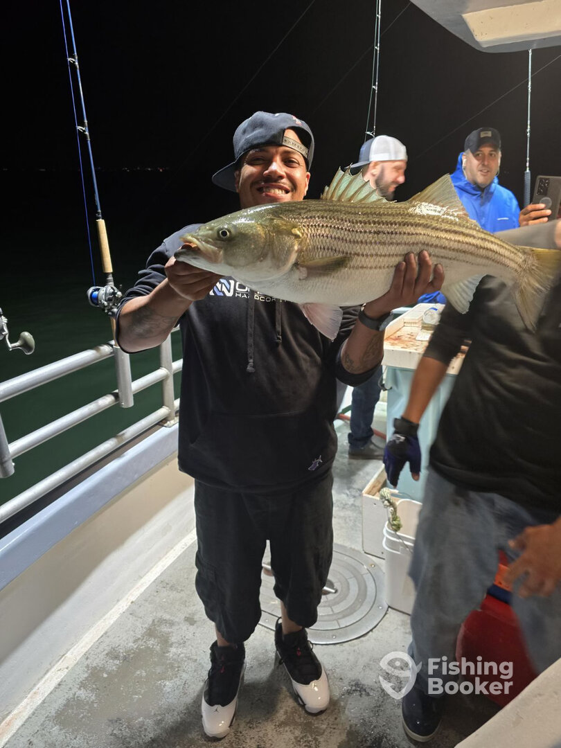 Bridgeport Report Photo 0