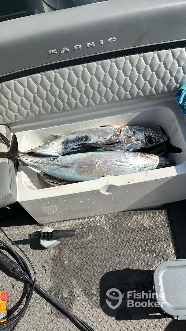 Limassol Report Photo 0