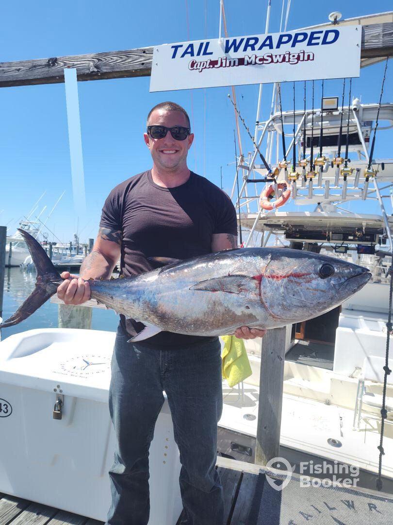 AWSOME BLUEFIN TUNA