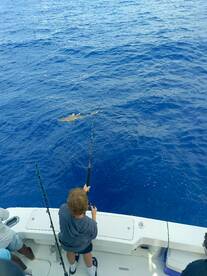 Punta Cana Report Photo 2