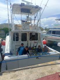 Punta Cana Report Photo 1