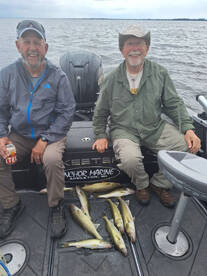 It's Time To Book Your Trips!