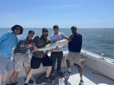 Virginia Beach Report Photo 2