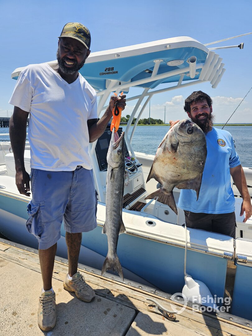 St. Simons Island Report Photo 0