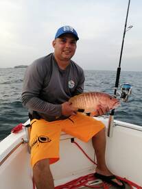 Panama City Report Photo 2