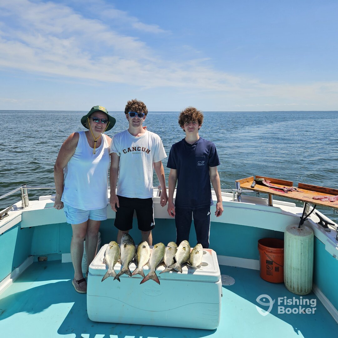 Solomons Report Photo 0