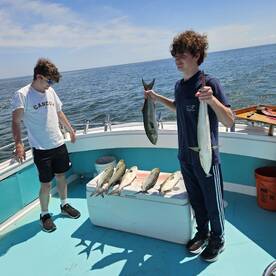 Solomons Report Photo 1