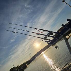 Solomons Report Photo 2