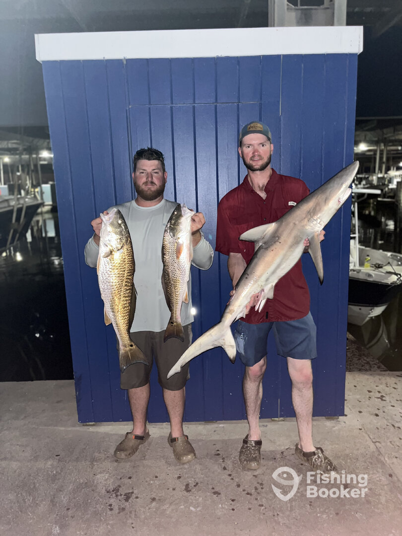 Galveston Report Photo 0