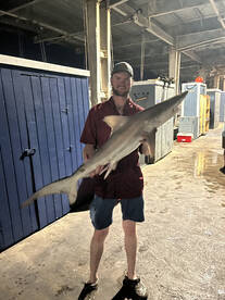 Galveston Report Photo 2