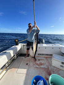 Ensenada Report Photo 1