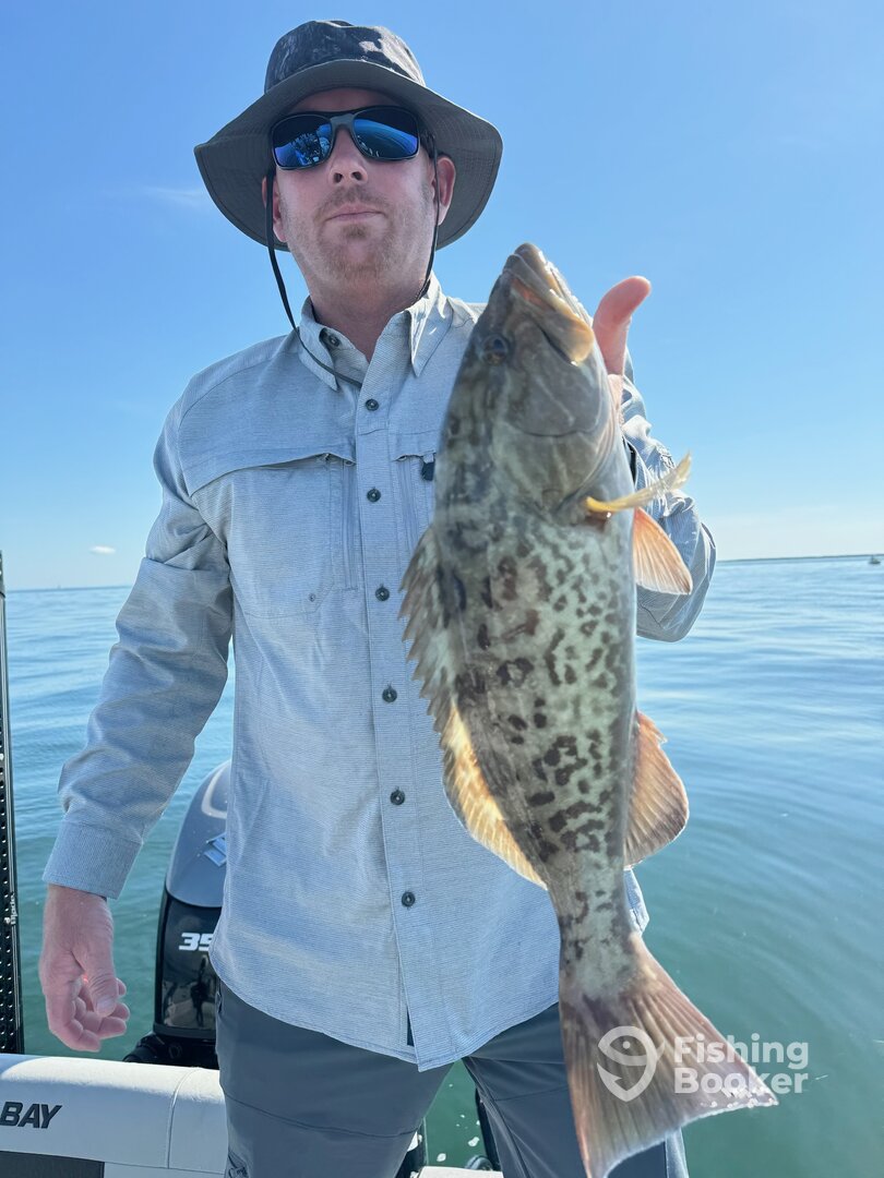 Ruskin Report Photo 0