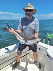 Virginia Beach Report Photo 2