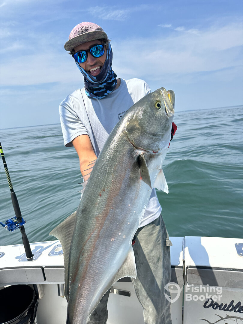 Stonington Report Photo 0