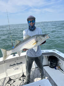 Stonington Report Photo 1