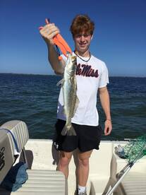 Port St. Joe Report Photo 2