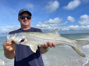 Great beach fishing action with muliple 