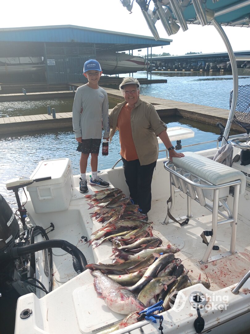 Willis Report Photo 0