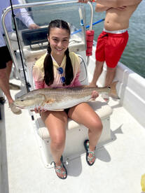 Orlando Report Photo 1