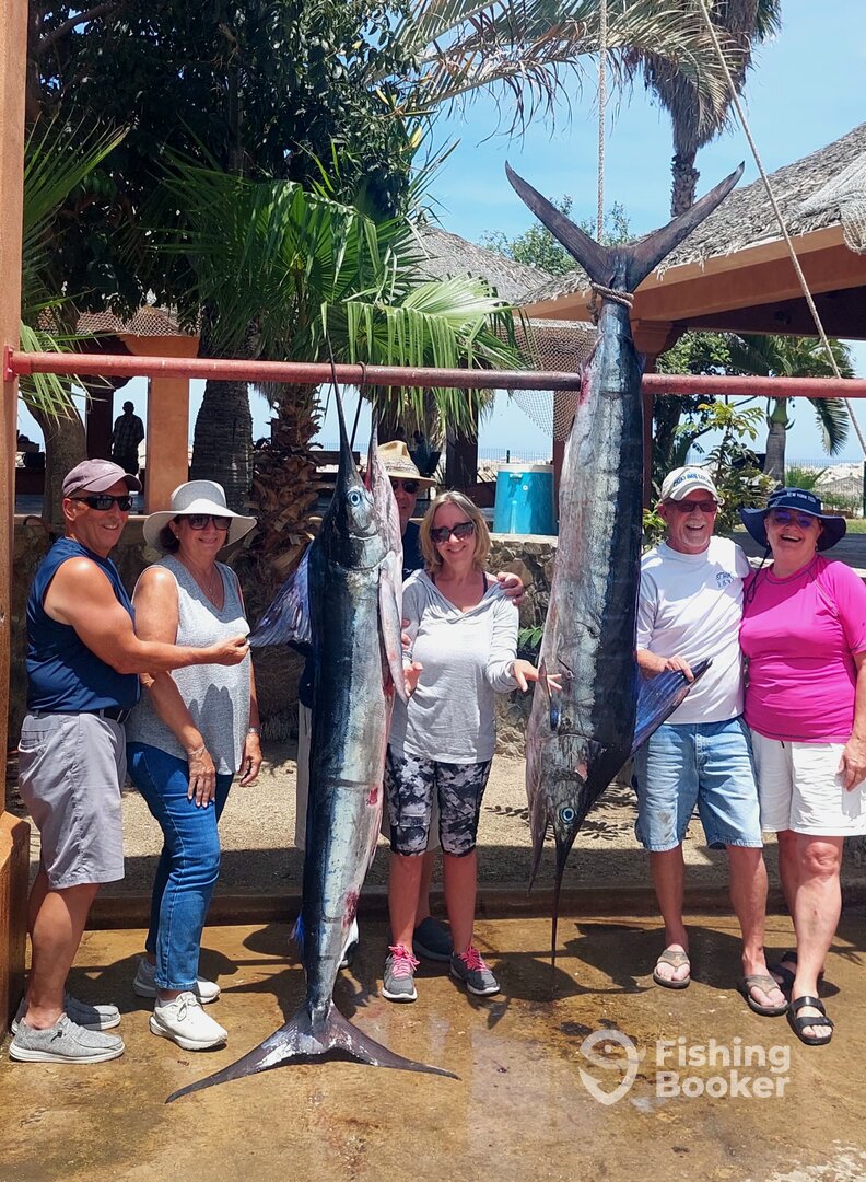 San Jose del Cabo Report Photo 0