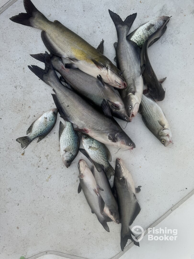 Atlanta Report Photo 0