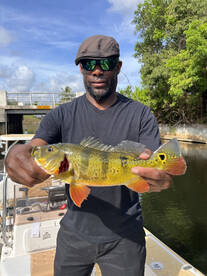 Summertime Peacock Bass Fishing