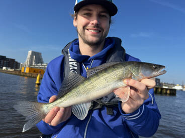 Amsterdam Report Photo 1