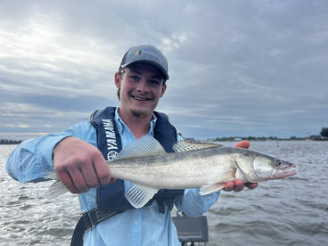 Amsterdam Report Photo 2