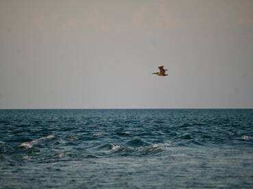 Homestead Report Photo 2