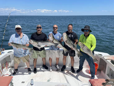 Montauk Report Photo 1